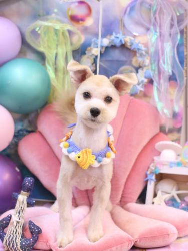 20240808しずくくん 